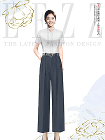 小眾高級感短袖雪紡v領(lǐng)寬松垂感通勤OL女裝