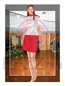 女裝T恤衫圖片017